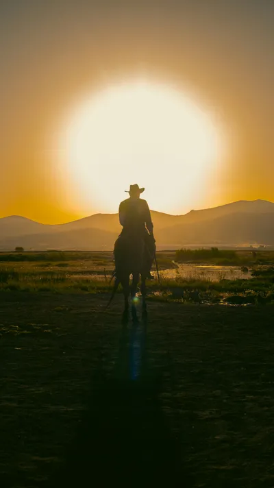 Featured image for The FFIEC CAT Is Gone. Now What?